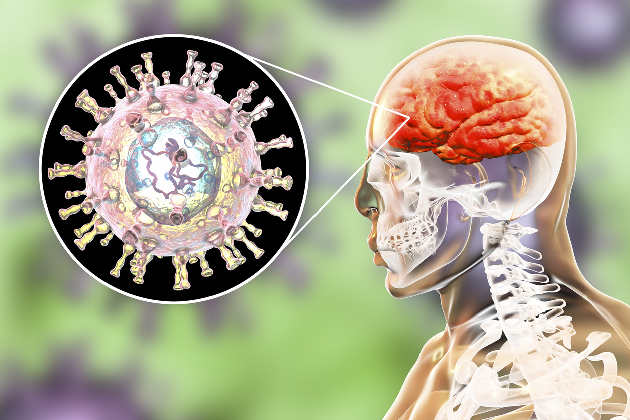 central-nervous-system-model-or-cns-brain-organ-structure-outline