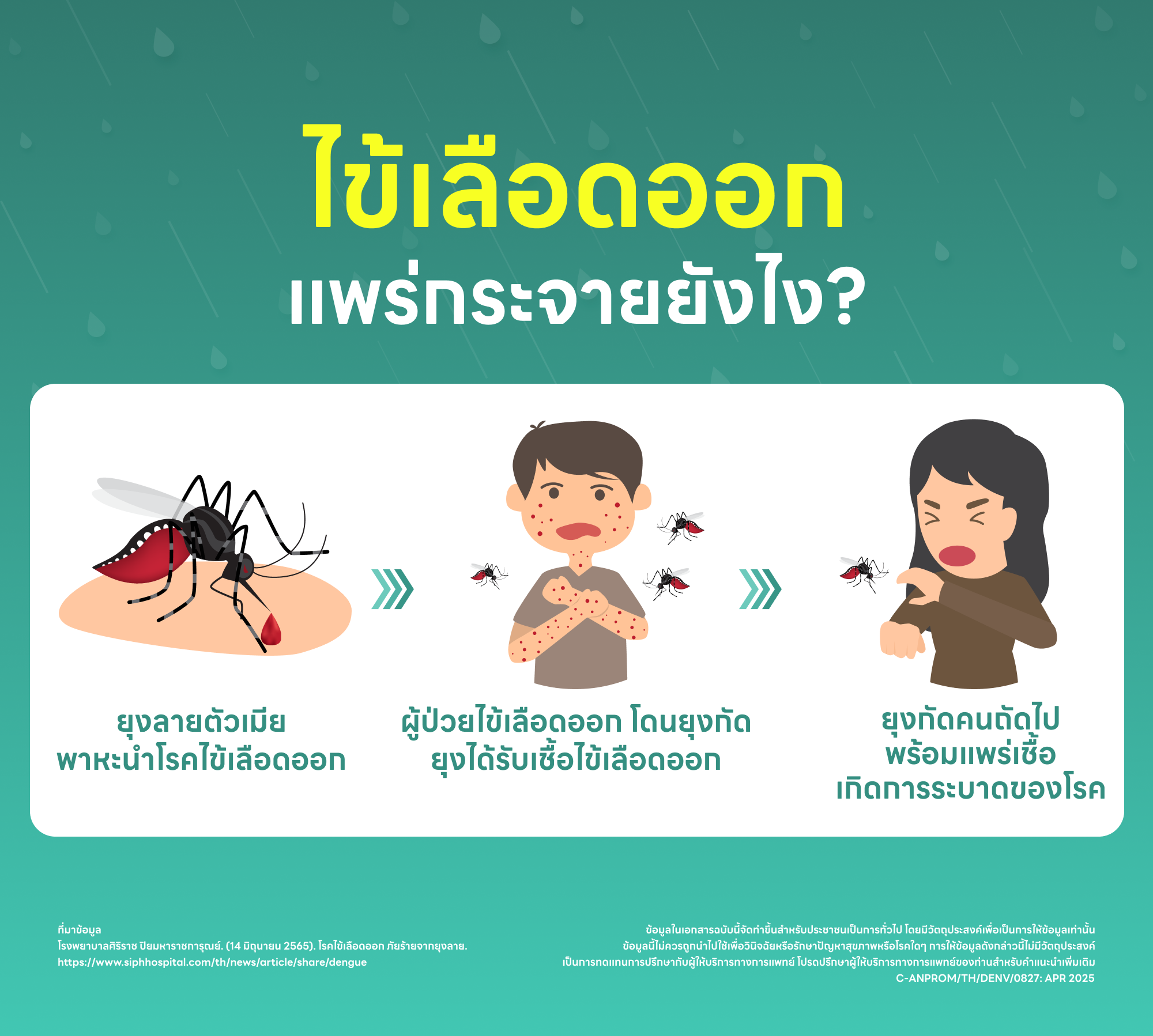ไข้เลือดออกแพร่กระจายยังไง
