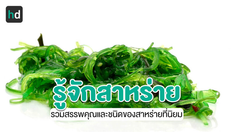 สาหร่าย สาหร่ายแผ่น ประโยชน์ ข้อควรระวัง
