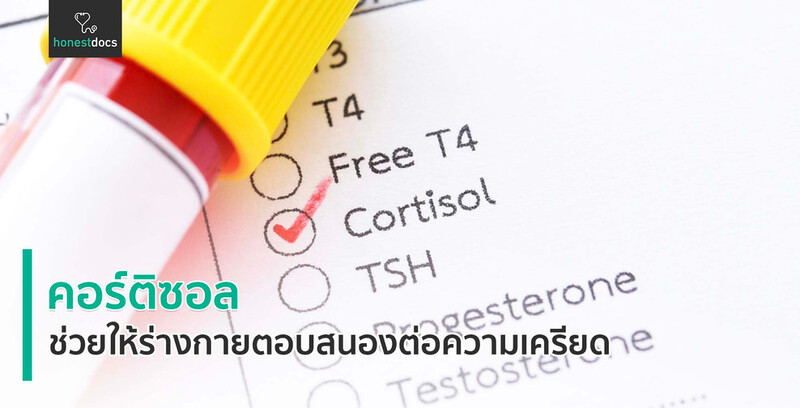 คอร์ติซอล Cortisol คืออะไร