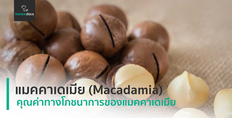 แมคคาเดเมีย (Macadamia)