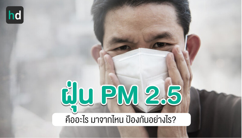 หน้ากากป้องกันฝุ่นพิษ PM 2.5