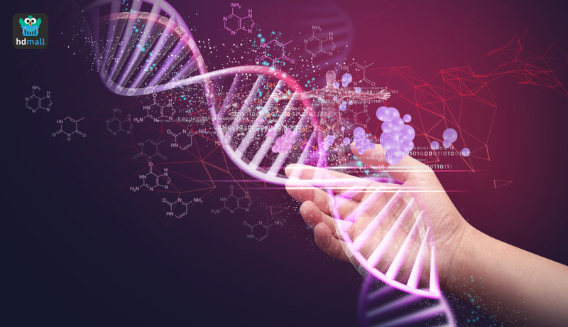 ตรวจ DNA คืออะไร